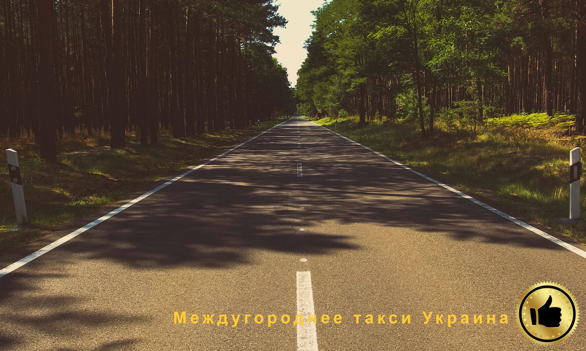 Mezhdugorodnee-taksi-Ukraina-Taksi-MEZhGOROD